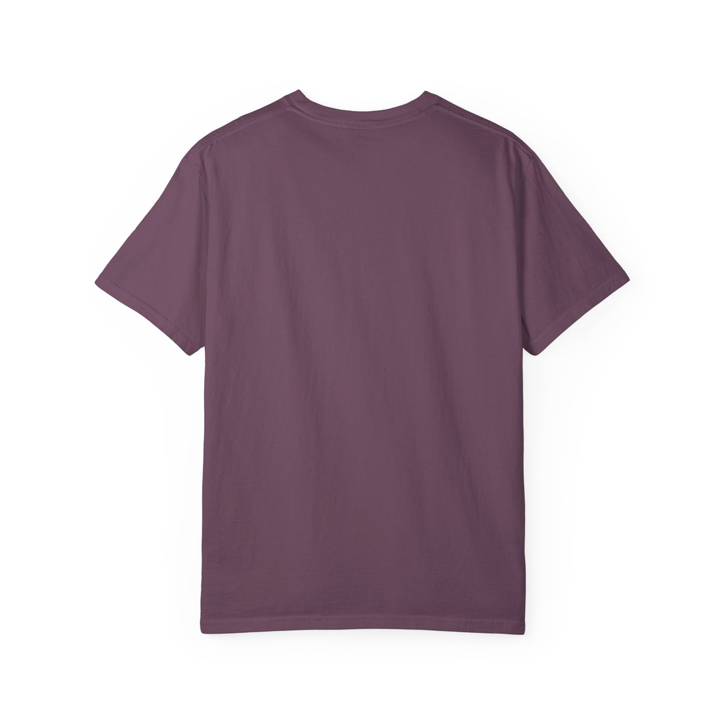Susquehanna Rockville Tee- Unisex Comfort Colors T-Shirt Design by Crēk Life
